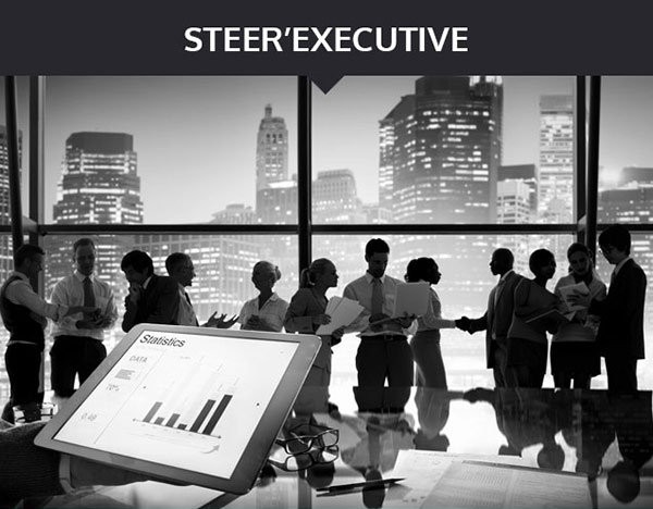 STEER EXECUTIVE